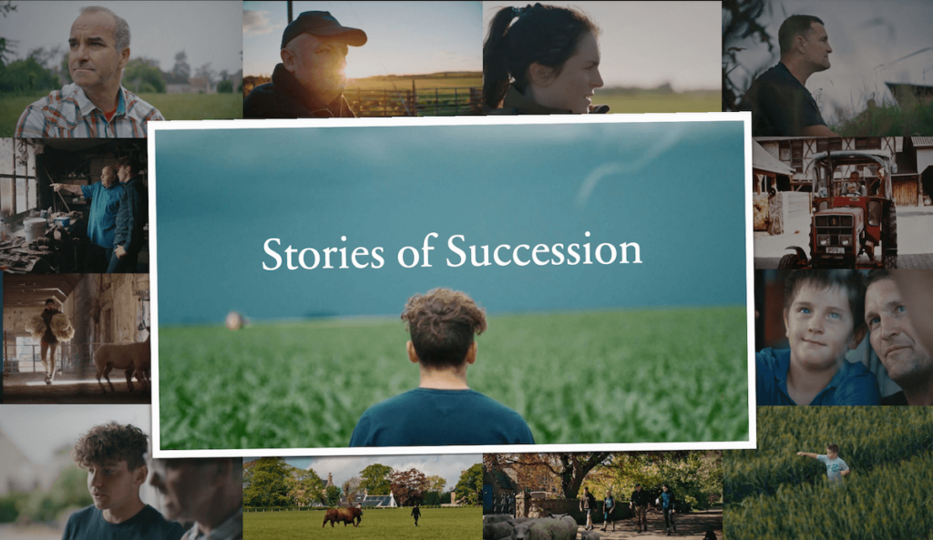 stories of succession